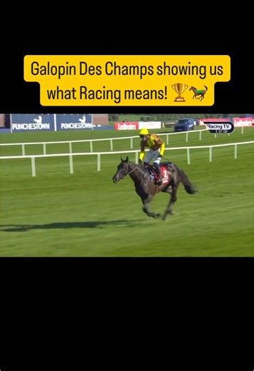 Value Vacuum on TikTok