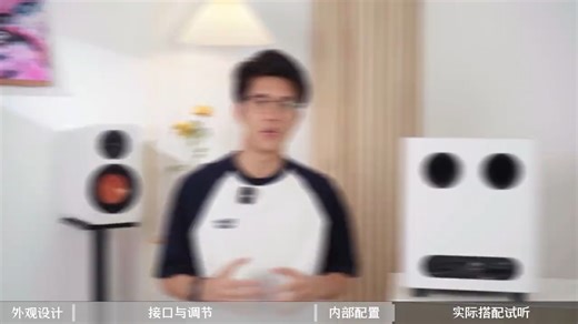 从接口到调校，SW10有源低音炮全方位讲解！ #FosiAudio#弗西音频#低音炮#HiFi