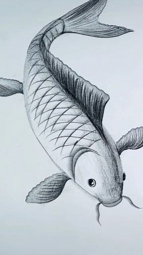 16K views · 129 reactions | Fish  drawing tutorial  . #drawing #creative #fishing #fbreelsfypシ゚viralシ | Easy drawing for kids24 | Facebook