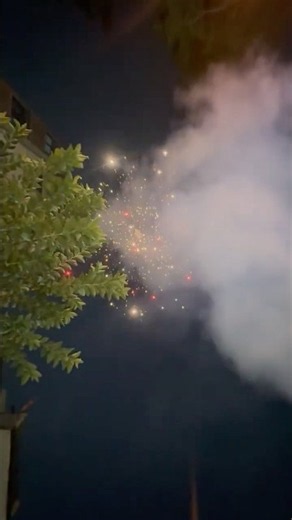 Crackling Stars Sony fire Works #sony #skyshot #sonyfireworks