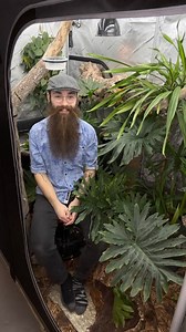 What do you think about using grow tents as reptile enclosures? ⛺️🐍 I set this one up almost a year ago for Big Blue, my 10’ Vietnamese Blue Beauty Snake and I’ve been SO happy with it! I don’t think it’d work for every species, but it’s such an affordable way to give your pets well deserved space! Big Blue not only uses every inch of the enclosure, but his attitude changed completely once he moved in! These snakes get a bad rep for being sassy, but I think they just need more space to feel rel