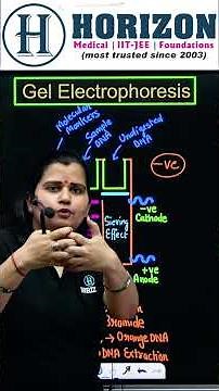 Gel Electrophoresis || NEET 2026 || Zoology ||Dr Shraddha Srivastava || Horizon Academy #neet2026