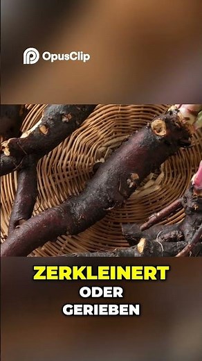 Beinwell: Heilkraft der Wurzel für deine Gesundheit!
