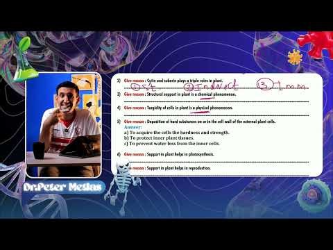 Class Sheet - Lecture 1