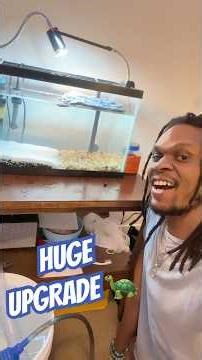 Transforming My Baby Turtle Tank (Sand, Rocks & More Room!) 🐢