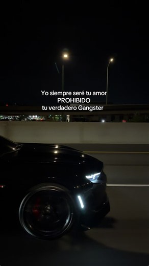 Amor Prohibido: Tu Verdadero Gangster
