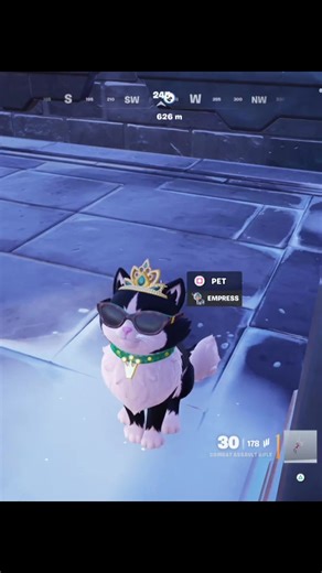 thats my queen 👑 @😘🙈☺️ #fortnite #pinkpantheress #stateside #battleroyale #cat