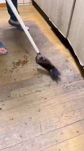 🇯🇵Cockroach extermination in Japan🇯🇵 💥Solve cockroach problems 💥Cockroaches are clean after 1-2 weeks of use 💥Commitment if not effective, 100% refund 💥odourless. Non-toxic 👉Inbox for advice | Cockroach killing powder JP