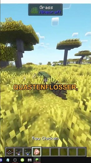 Wie man den großen Würfel in Minecraft baut (Ökologische Wiederauffüllung)