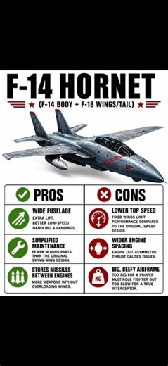 What If the F-14 Had Fixed Wings? ✈️ #F14 #Tomcat #aviation #shorts