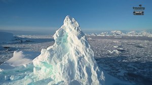 WINTER'S GREATEST SURVIVORS - Winter Animal Adaptations - #Wildlife Documentary