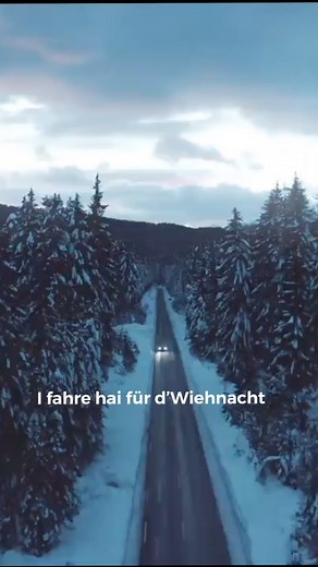 7.2K views · 86 reactions | Marius Bear on Reels | Facebook