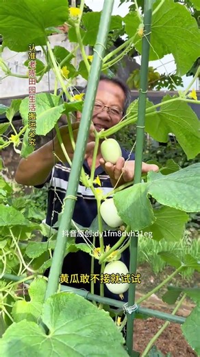 There are certain considerations when it comes to vegetable breeding.#Planting tips#Grow v