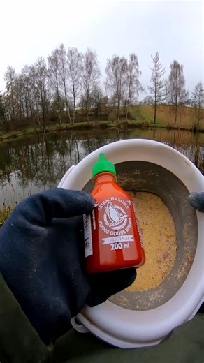 Geo on Instagram: "Angelfutter Rezept mit scharfer Soße #rezept #grundfutter #angelfutter #angeln"