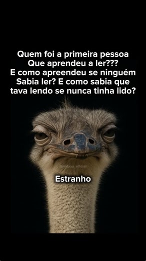 imbu oficial on Instagram: "Siga @imbu_ofc"