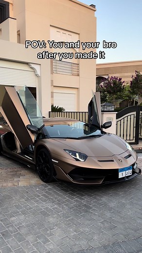 POV: You and Your Bro After You Made It