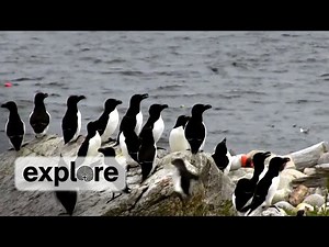 Stories From Matinicus Rock