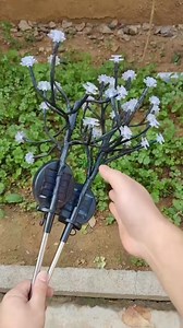 If you are afraid of the dark, place Solar Garden Lights Outdoor in your garden. | Amber Lynn Sysel-Lodge