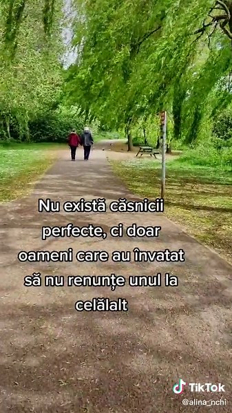 Exploring Relationships in a Park Setting