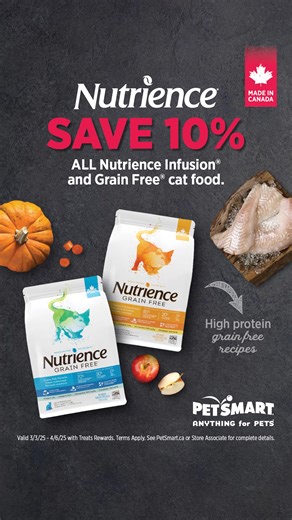 12 reactions | Save 10% ALL Nutrience® Infusion™ and Nutrience® Grain Free cat food. Offer valid in-store or online from 3/3-4/6 with Treats™ Rewards. Terms apply  | PetSmart | Facebook