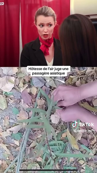 Conflit en première classe entre une hôtesse de l’air et une passagère asiatique