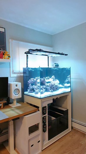 9.2K views · 282 reactions | The cycle is underway! Every new tank that I’ve set up, I’ve gone with the @algaebarn ultimate cycle kit. It has everything you need to get your tank ready for livestock in just a few days. It also comes with biomedia to help spread and help make the bacteria thrive. This time next week, the tank should be ready for livestock. Stop waiting months and get your tank going the easy way 裂 | Reefer_NYC | Facebook