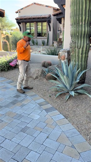 Exploring Cacti and Plants in the Arizona Desert