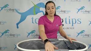 Furesh Elevated Bathtub for Dogs Review and Testing