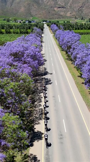 ONE MONTH to go until the 2025 Old Mutual Wealth Double Century! We hope your training is going strong, we can’t wait to welcome you all to beautiful Swellendam! 🌿 📣Team Captains, don’t forget to add your riders (and yourself!) to your teams before the deadline. | Old Mutual Wealth Double Century