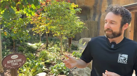 What's growing in Cincinnati Zoo's new Bear Ridge? - Cincinnati Zoo & Botanical Garden