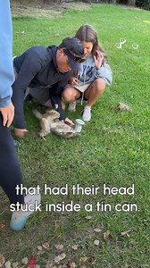 1.1M views · 10K reactions | The Pet Collective on Reels | Facebook