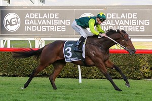 SA Derby 2026 Field, Tips, Betting Odds, Results