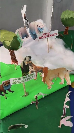 Biodiversity Model Project 🌍🌱 | Ecosystem Model #Shorts #ujancreations