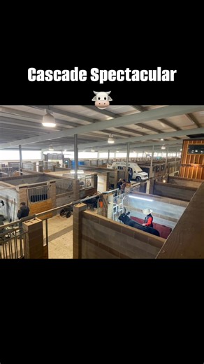 1.9K views · 41 reactions | First cow show in the barn was a huge success! Thank you to the show crew and vendors!! | Kerley Horse Center | Facebook