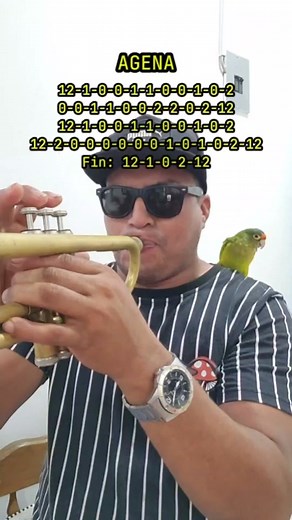 Cómo tocar la canción 'Ajena' en trompeta