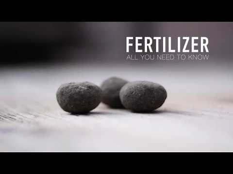 How to Fertilize Bonsai