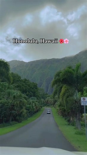 Botanicalgarden #honolulu #hawaii #botanicalgarden #tropical | I Love Hawaii