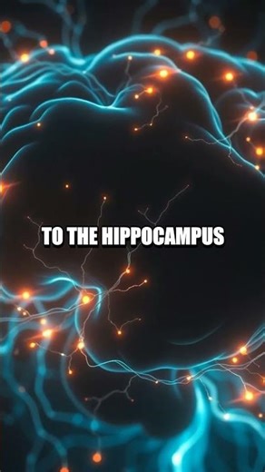 Three Silent Sparks: The Personal Frontier Of Brain Experiments