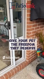  Give your dog the freedom to explore the outdoors with the Large...