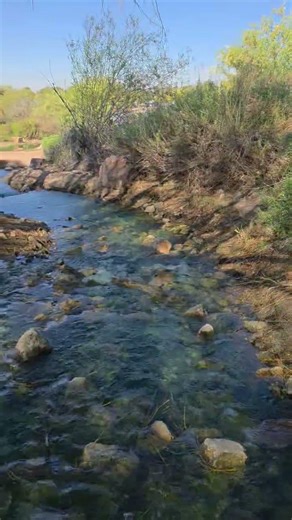 40 Seconds of Peace!