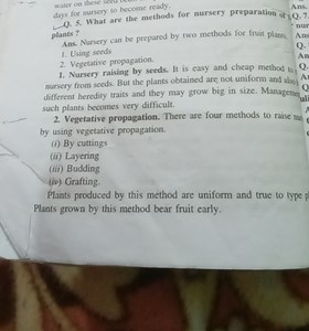 days for nursery to become ready.Q. 5. What are the methods fo... | Filo