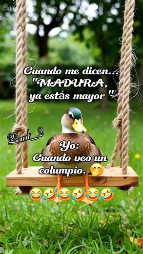 #humor #Meme #bandi_2 #disfrutalavida😎😏 #ejército_verde💚💚