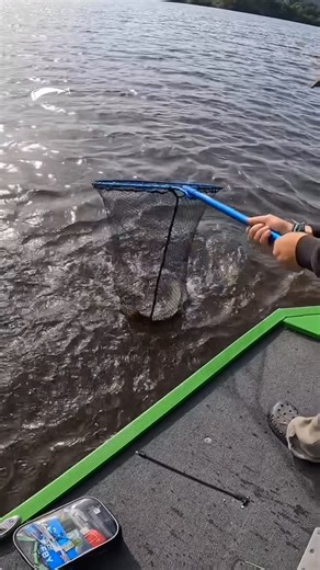 Le Pêcheur on Instagram: "Les meilleurs pêcheurs sont sur #pecheurrecompensé 🤩 Découvrez dans « Les 7 Pêcheurs de la semaine » les meilleurs poissons de la semaine qui sont apparus sur le #pecheurrecompensé ! Comment être sélectionné pour être republié : - Utilisez le hashtag #pecheurrecompensé ! - Abonnez vous au compte Le Pêcheur. Où nous trouver : Par mail: lepecheurfrcontact@gmail.com Ou via Instagram : @lepecheurfr #Fishing #CatchOfTheDay #BigFish #FishingLife #FishingCommunity #AnglersPar