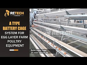 A type battery cage system for egg layer farm poultry equipment - RETECH Farming