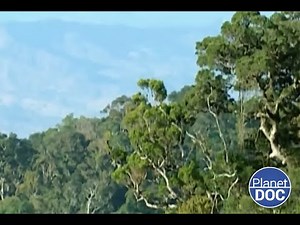 Tourism version 2.0: this is the Ecotourism that we explain to you (FULL DOCUMENTARY)