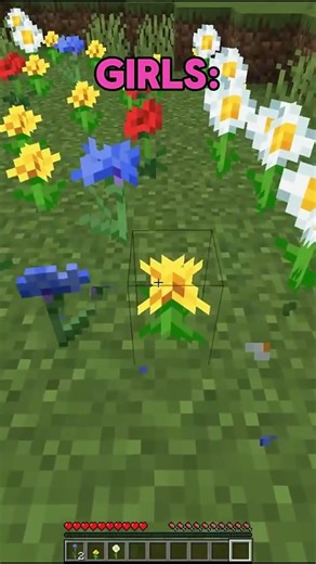 boys VS girls playing minecraft