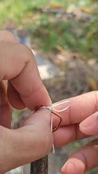 best fishing knot for a hook