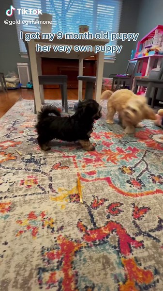 GoldieGirlSimone on TikTok