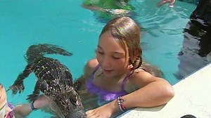 Kids invite alligator to pool party | CNN