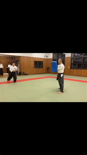 〈躰道の技〉 運技 飛び回状蹴り→飛び旋状蹴り→二段蹴り 変技 水平蹴り→旋状蹴り→卍蹴り 捻技 足絡み 転技 側転蹴り #躰道#taido#武道#東村山 | 躰道東村山道場